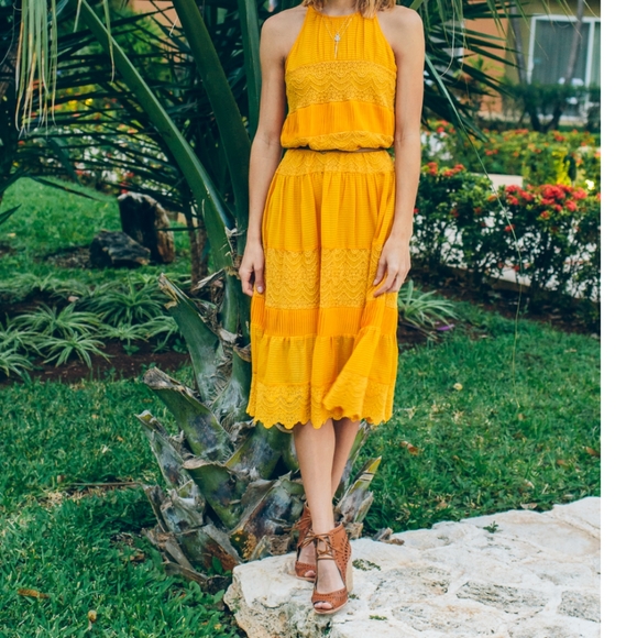 RARE Anthropologie Villanelle HD in Paris dress Small - Picture 1 of 11